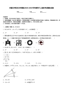 内蒙古呼伦贝尔市莫旗2023-2024学年数学八上期末考试模拟试题含答案