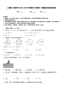 上海第二初级中学2023-2024学年数学八年级第一学期期末质量检测试题含答案