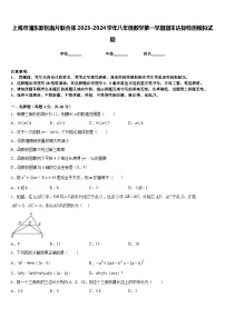 上海市浦东新区南片联合体2023-2024学年八年级数学第一学期期末达标检测模拟试题含答案