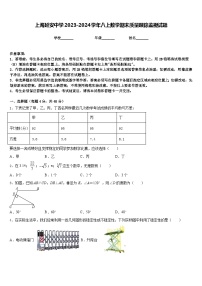 上海延安中学2023-2024学年八上数学期末质量跟踪监视试题含答案