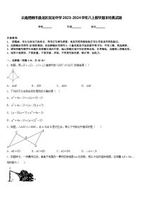 云南昆明市盘龙区双龙中学2023-2024学年八上数学期末经典试题含答案