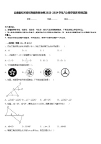 云南省红河哈尼族彝族自治州2023-2024学年八上数学期末检测试题含答案