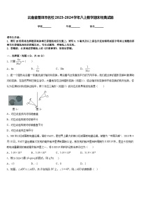 云南省普洱市名校2023-2024学年八上数学期末经典试题含答案