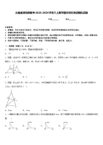 云南省双柏县联考2023-2024学年八上数学期末综合测试模拟试题含答案