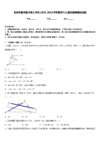 北京市昌平临川育人学校2023-2024学年数学八上期末调研模拟试题含答案