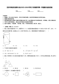 北京市海淀区首师大附2023-2024学年八年级数学第一学期期末监测试题含答案