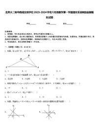 北师大二附中西城实验学校2023-2024学年八年级数学第一学期期末质量跟踪监视模拟试题含答案