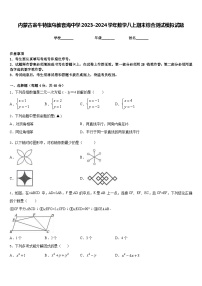 内蒙古翁牛特旗乌敦套海中学2023-2024学年数学八上期末综合测试模拟试题含答案