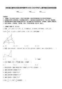 吉林省辽源市东丰县小四平镇中学2023-2024学年八上数学期末达标检测试题含答案