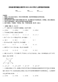 吉林省长春市解放大路中学2023-2024学年八上数学期末检测试题含答案