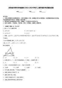 吉林省长春市净月高新区2023-2024学年八上数学期末考试模拟试题含答案