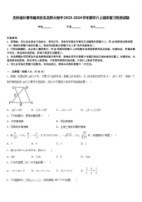 吉林省长春市南关区东北师大附中2023-2024学年数学八上期末复习检测试题含答案