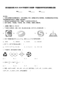 四川省宜宾县2023-2024学年数学八年级第一学期期末教学质量检测模拟试题含答案