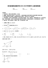 四川省成都东辰国际学校2023-2024学年数学八上期末调研试题含答案