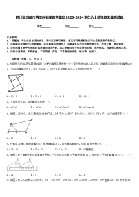 四川省成都市青羊区石室教育集团2023-2024学年八上数学期末监测试题含答案