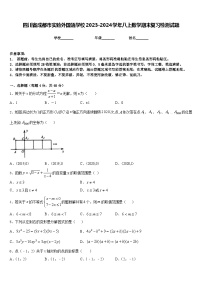 四川省成都市实验外国语学校2023-2024学年八上数学期末复习检测试题含答案