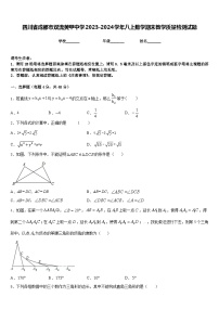 四川省成都市双流黄甲中学2023-2024学年八上数学期末教学质量检测试题含答案