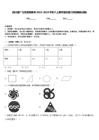 四川省广元苍溪县联考2023-2024学年八上数学期末复习检测模拟试题含答案