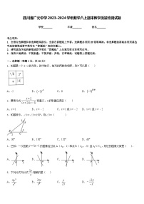 四川省广元中学2023-2024学年数学八上期末教学质量检测试题含答案