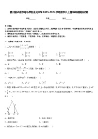 四川省泸州市龙马潭区金龙中学2023-2024学年数学八上期末调研模拟试题含答案