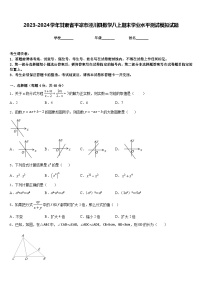 2023-2024学年甘肃省平凉市泾川县数学八上期末学业水平测试模拟试题含答案