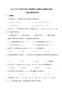 2023-2024年北师大版八年级数学上册期末冲刺满分攻略二--勾股定理的逆定理（题目）