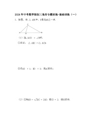 2024年中考数学相似三角形专题训练-基础训练（一）（试题）