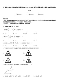 云南省红河哈尼族彝族自治州泸西县2023-2024学年八上数学期末学业水平测试模拟试题含答案