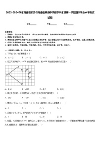 2023-2024学年湖南省长沙市周南石燕湖中学数学八年级第一学期期末学业水平测试试题含答案