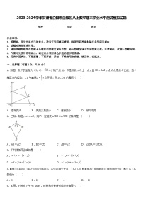 2023-2024学年甘肃省白银市白银区八上数学期末学业水平测试模拟试题含答案