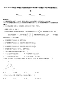 2023-2024学年四川绵阳富乐园际学校数学八年级第一学期期末学业水平测试模拟试题含答案