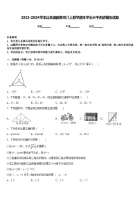 2023-2024学年山东省曲阜市八上数学期末学业水平测试模拟试题含答案