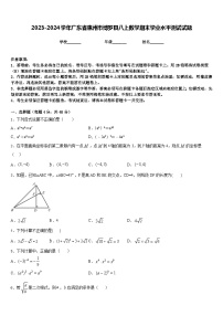 2023-2024学年广东省惠州市博罗县八上数学期末学业水平测试试题含答案