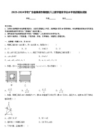 2023-2024学年广东省惠州市惠阳区八上数学期末学业水平测试模拟试题含答案