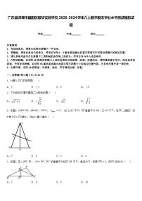 广东省深圳市福田区耀华实验学校2023-2024学年八上数学期末学业水平测试模拟试题含答案