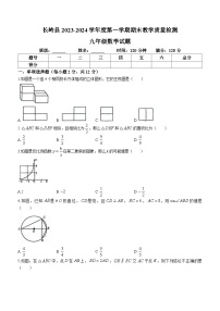 吉林省松原市长岭县2023-2024学年九年级上学期期末数学试题