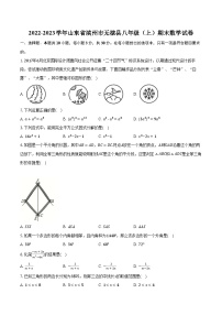 2022-2023学年山东省滨州市无棣县八年级（上）期末数学试卷（含解析）