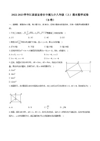 2022-2023学年江西省宜春市丰城九中八年级（上）期末数学试卷（B卷）（含解析）