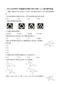 2023-2024学年广东省惠州市博罗中学八年级（上）期中数学试卷（含解析）