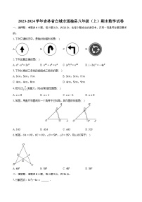 2023-2024学年吉林省白城市通榆县八年级（上）期末数学试卷（含解析）