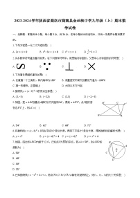 2023-2024学年陕西省商洛市商南县金丝峡中学九年级（上）期末数学试卷（含解析）