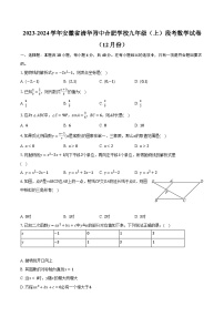 2023-2024学年安徽省清华附中合肥学校九年级（上）段考数学试卷（12月份）（含解析）