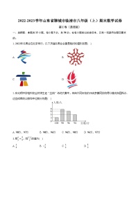 2022-2023学年山东省聊城市临清市八年级（上）期末数学试卷(含解析）