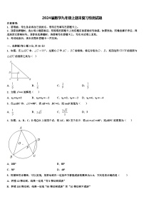 2024届数学九年级上期末复习检测试题