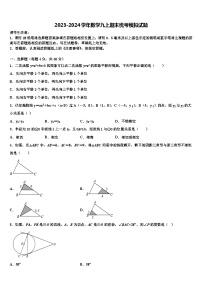 2023-2024学年数学九上期末统考模拟试题