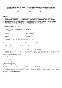 安徽省合肥市45中学2023-2024学年数学八年级第一学期期末预测试题含答案