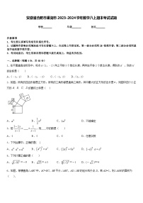 安徽省合肥市巢湖市2023-2024学年数学八上期末考试试题含答案