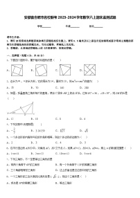 安徽省合肥市名校联考2023-2024学年数学八上期末监测试题含答案