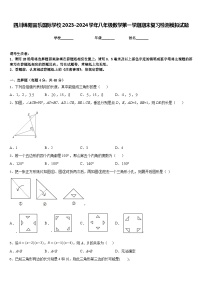 四川绵阳富乐国际学校2023-2024学年八年级数学第一学期期末复习检测模拟试题含答案