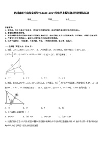 四川省遂宁高级实验学校2023-2024学年八上数学期末检测模拟试题含答案